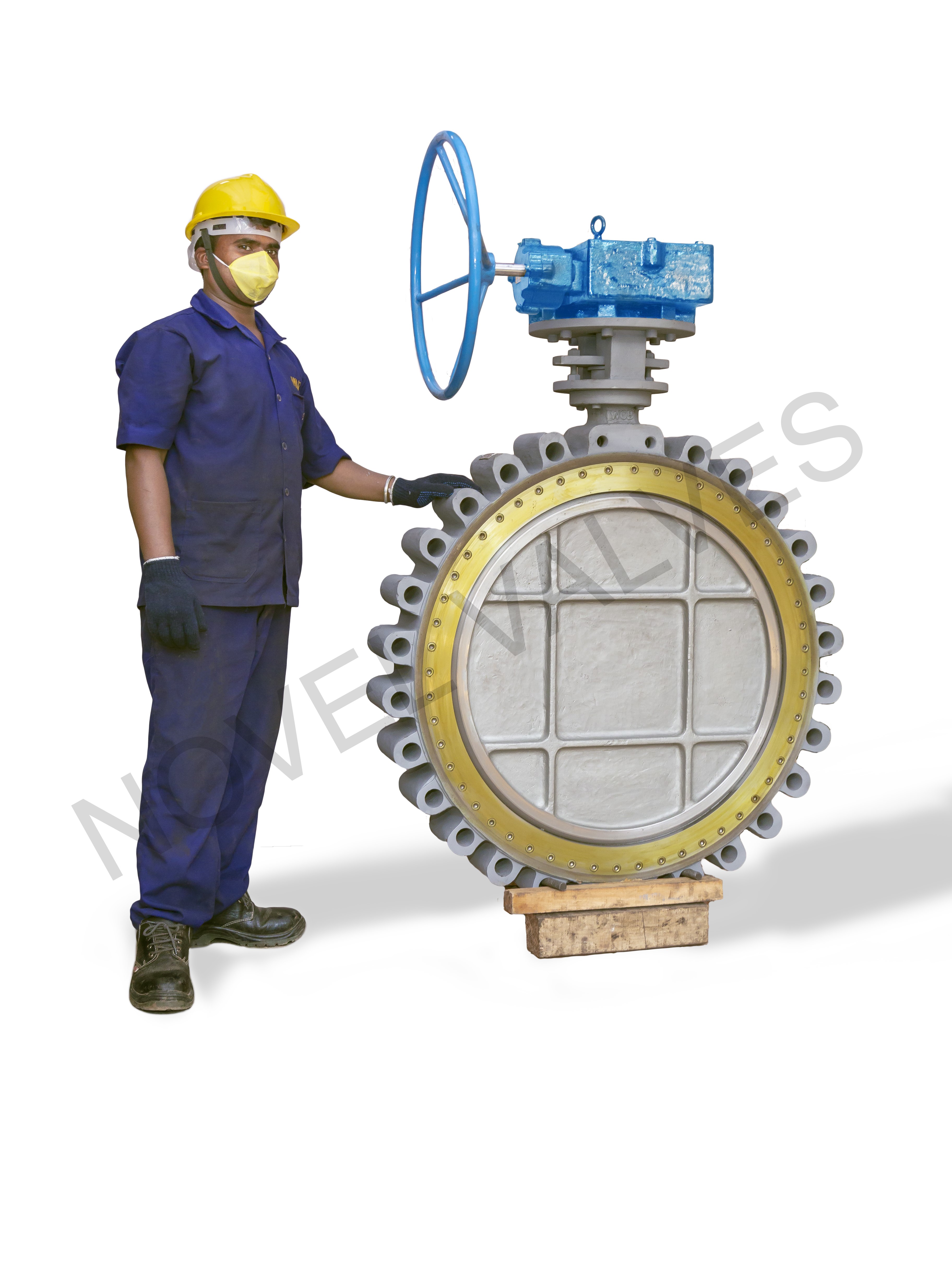 About Novel Valves