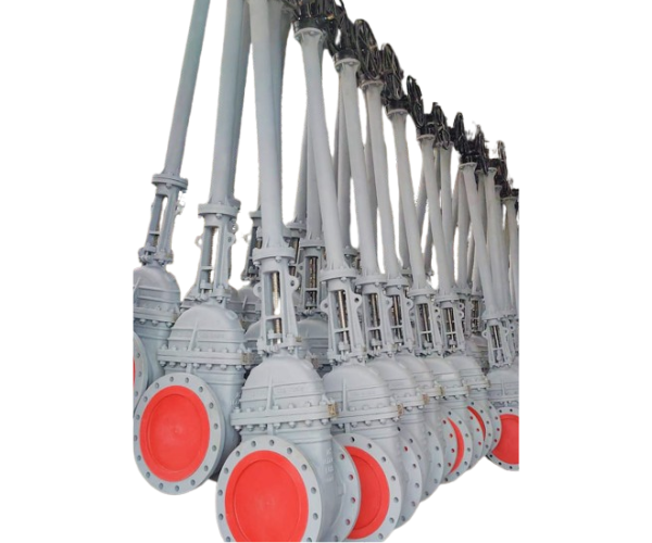 gate valve